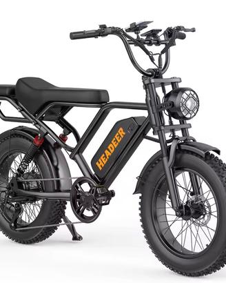 Bici elettrica 750w 48v 20Ah