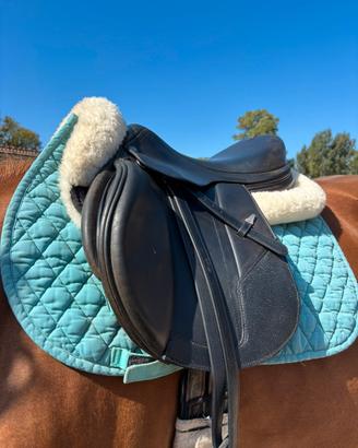 Sella equipe carbon