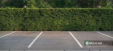 POSTI AUTO RONCHI DEI LEGIONARI