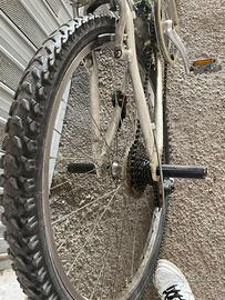 Biciclette