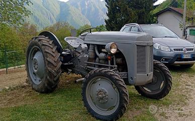 Trattore Ferguson Tef20 1952