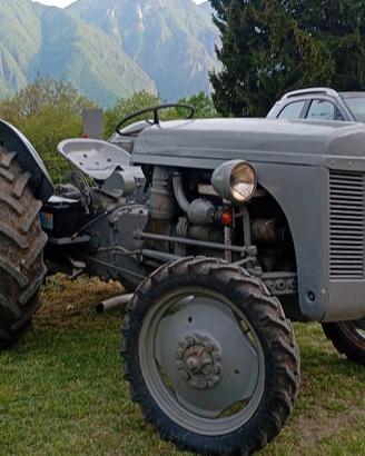 Trattore Ferguson Tef20 1952