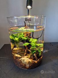 lampada per acquario piccolo