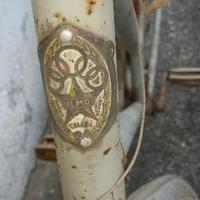 Bicicletta olmo d'epoca