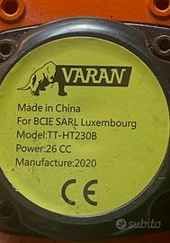 Tagliasiepe a scpppio Varan