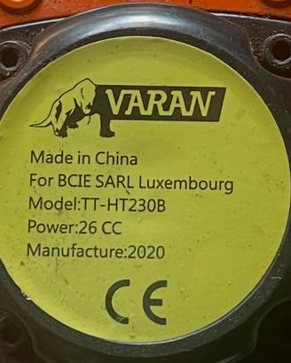 Tagliasiepe a scpppio Varan