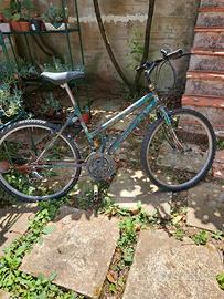 Bici mountain bike verde