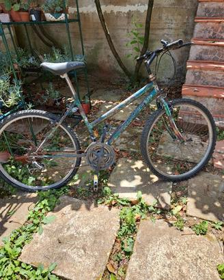 Bici mountain bike verde