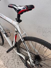 Bicicletta Torpado