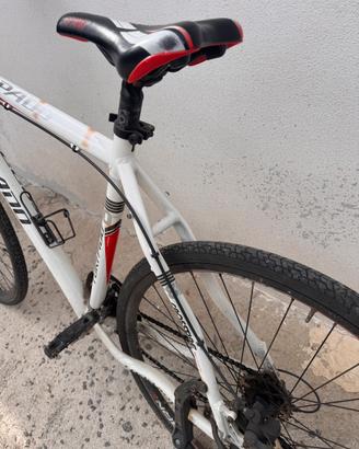 Bicicletta Torpado