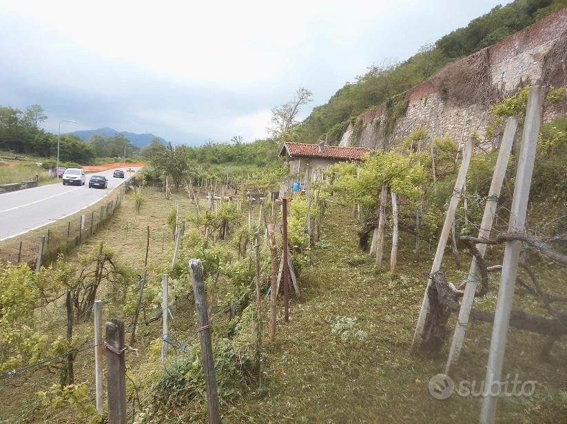 Vigneto con annesso cassero - Vista 4
