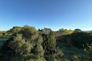 CASA SEMINDIPENDENTE A ALGHERO