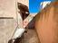 Immagine 10
