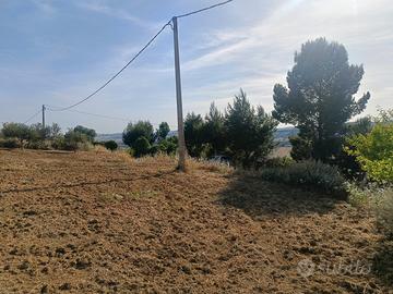 Terreno agricolo
