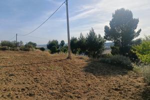 Terreno agricolo