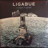 Raro CD Ligabue "I campi in aprile"