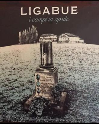Raro CD Ligabue "I campi in aprile"