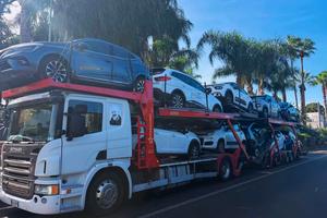 Scania P