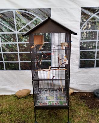  n.2 gabbie per uccelli