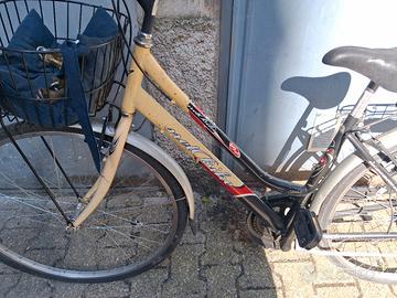 Bicicletta con marce