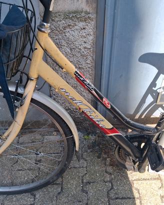 Bicicletta con marce