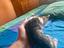 Immagine 4