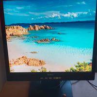 monitor 16 pollici Vga