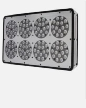 Box indor  lampada ortoled