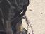 Immagine 4