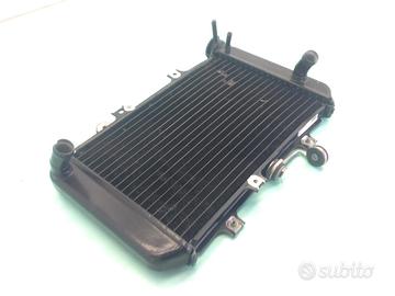 BMW G 310 R 310 RADIATORE ACQUA LIQUIDO RAFFREDDAM