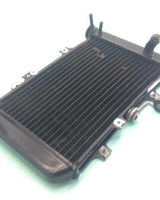 BMW G 310 R 310 RADIATORE ACQUA LIQUIDO RAFFREDDAM
