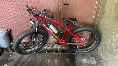 bici elettrica
