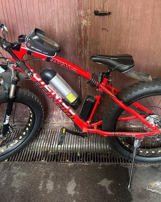 bici elettrica