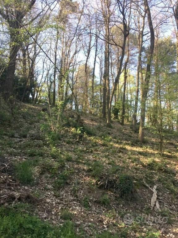 Immobile in asta di 4000 m² a Lipomo - Vista 3