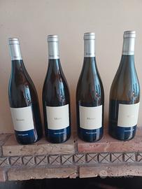 vino saucigno meroi