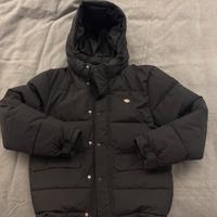Giaccone imbottito Dickies