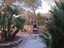 Immagine 5