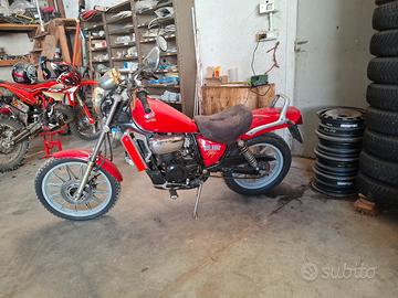 Aprilia red rose 