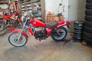 Aprilia red rose 