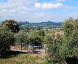Terreni agricoli
