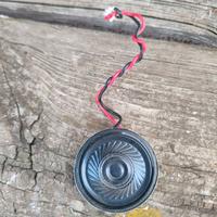 capsula audio roomba