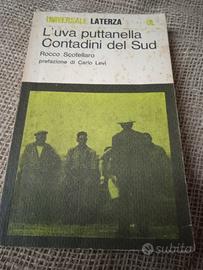 Libro l' uva puttanella, Contadini del sud