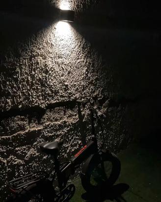 Bici elettrica
