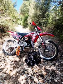 Gas gas 300 2 tempi