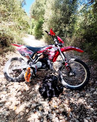 Gas gas 300 2 tempi