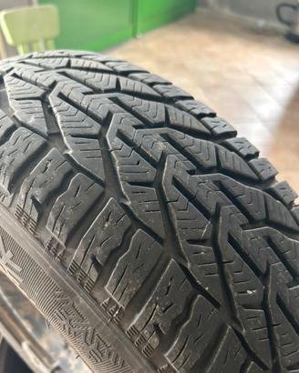 Gomme invernali 195/65/15