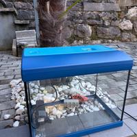 Acquario in vetro completo di luce