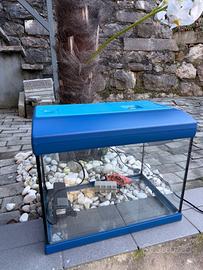 Acquario in vetro completo di luce