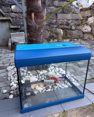 Acquario in vetro completo di luce