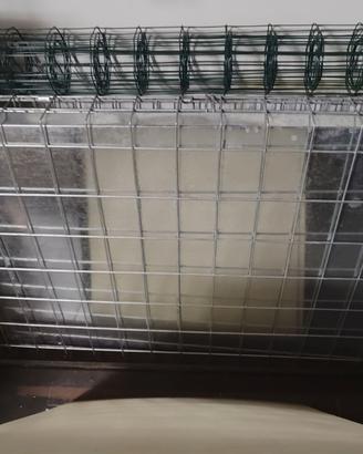 Kennel grande cane